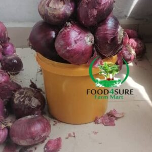 Fresh Onions – Premium Quality & Farm-Fresh | Food4Sure Farm Mart