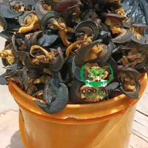 Premium Fresh Dried Snail – Nutritious & Delicious | Food4Sure Farm Mart