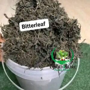 Fresh Bitterleaf – Premium Quality & Farm-Fresh | Food4Sure Farm Mart