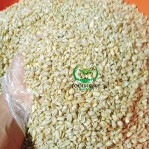 Ukwa Grain (African Breadfruit) – Fresh, Nutritious, and 100% Natural