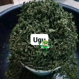 Fresh Ugu Leaves – Nutritious & Farm-Fresh | Food4Sure Farm Mart