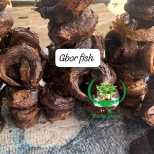 Ogbor Fish
